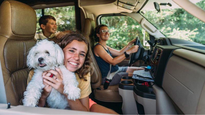 Car Loans
